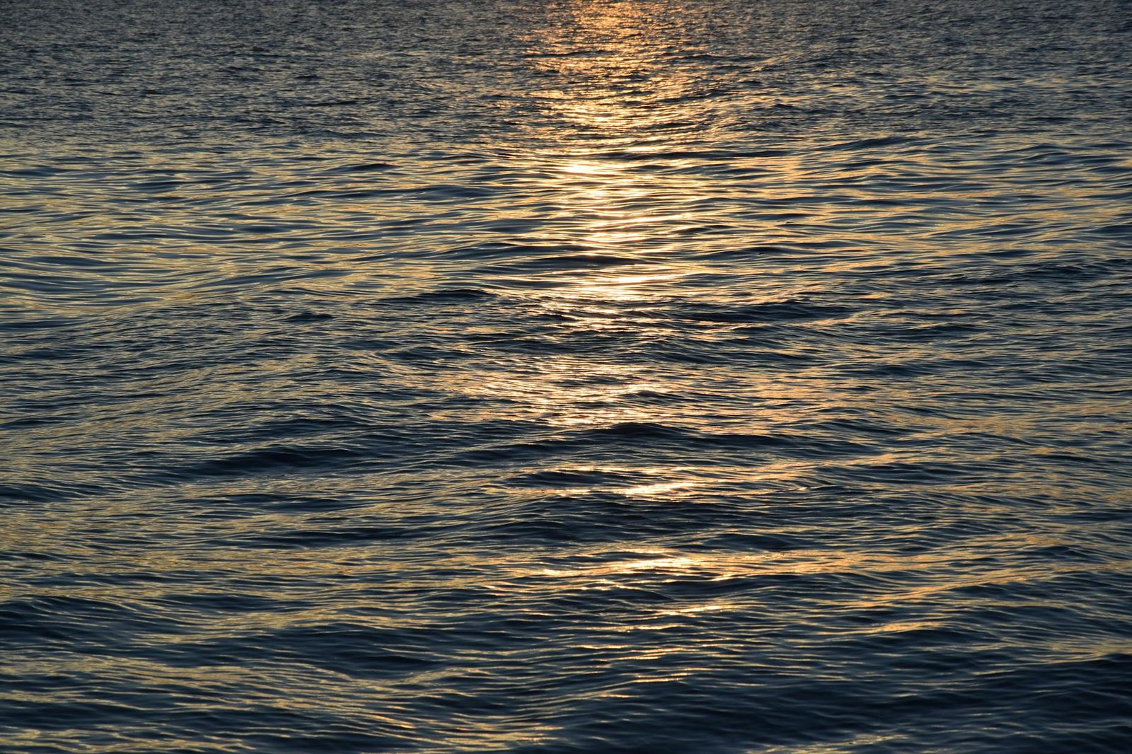 Sunset Snorkeling Experience